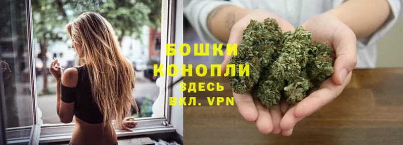 где купить наркоту  Гурьевск  блэк спрут вход  Конопля THC 21% 